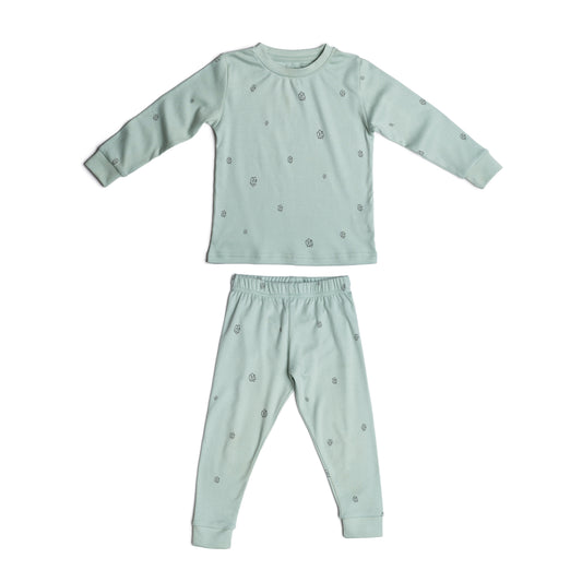 Pajama Set, Long Sleeve T-Shirt and Pants - Sage with Cotton Bloom